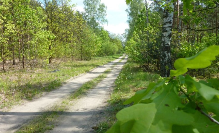 działka na sprzedaż - Halinów (gw), Długa Szlachecka, Dąbrowskiego