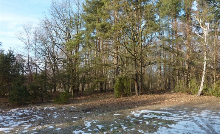 działka na sprzedaż - Warszawa, Wawer, Radość