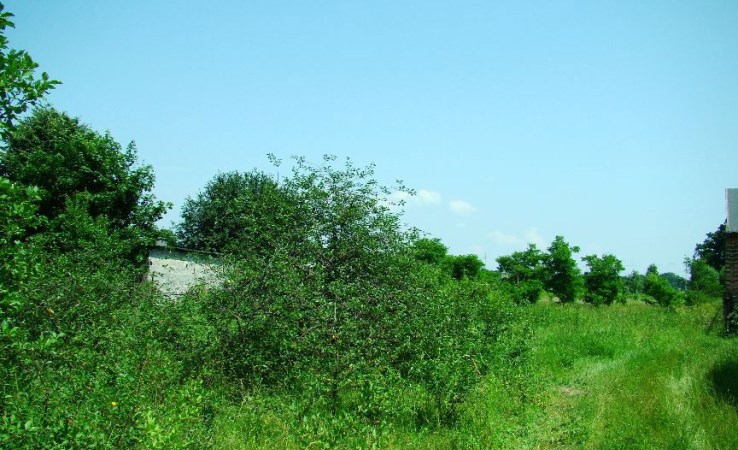 działka na sprzedaż - Halinów (gw), Długa Szlachecka