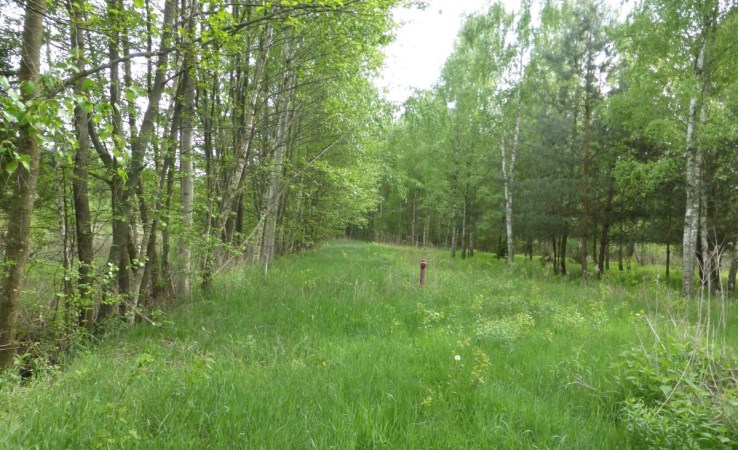 działka na sprzedaż - Stanisławów, Cisówka