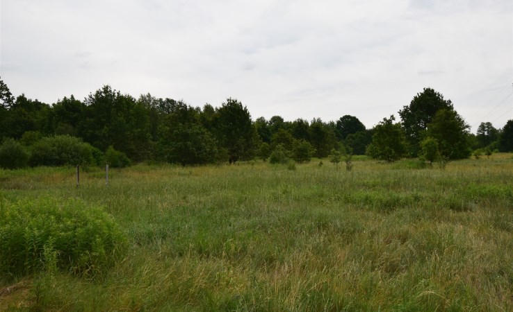 działka na sprzedaż - Halinów (gw), Wielgolas Brzeziński