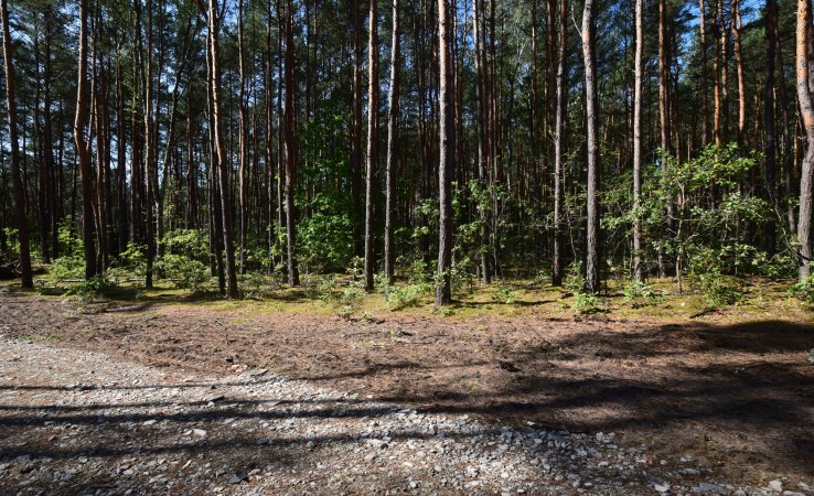 działka na sprzedaż - Sulejówek