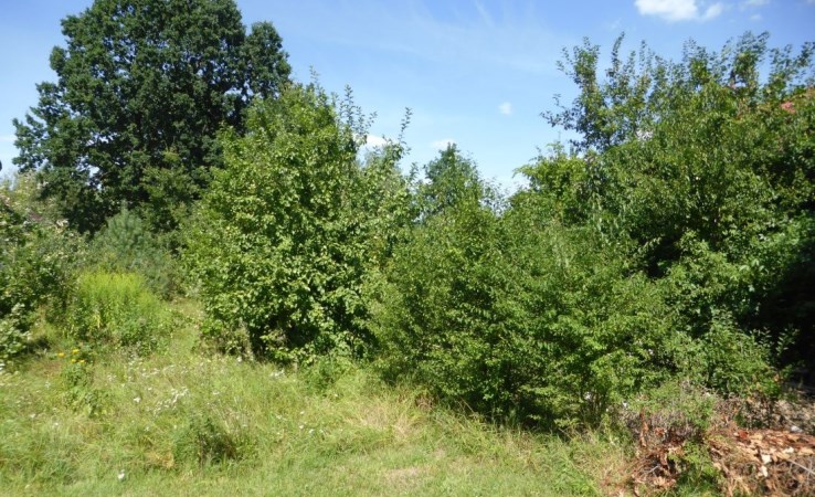 działka na sprzedaż - Sulejówek