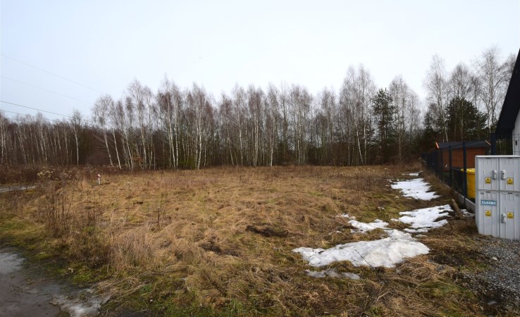 działka na sprzedaż - Halinów (gw), Krzewina